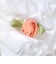 ＜GOOD SQUISH＞THE FLOWERED シュシュ