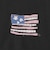 ＜PETER＞USA FLAG Tシャツ