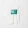 ＜Kimiyuki Kumamoto × CGS.＞フォト Tシャツ
