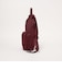 【別注】＜JANSPORT＞カラー ドロスト リュック