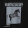 【別注】＜＋81BRANCA＞The National Gallery London グラフィック Tシャツ