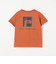 ＜THE NORTH FACE＞トドラーショートスリーブ バックスクエア ロゴTシャツ / キッズ  110cm-120cm