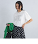 SLF ロゴ Tシャツ