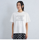 SLF ロゴ Tシャツ