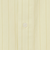 【WEB限定】＜GLR or＞ビッグシルエット 半袖 シャツ