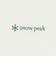 【別注】＜Snow Peak＞GLR ロゴ 半袖 Tシャツ