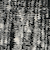 GLR アンクル 3P ソックス