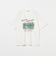 アルパイン Tシャツ