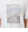 【WEB限定】＜at ease＞フォトグラフィック ショートスリーブ Tシャツ