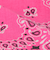 ＜HAV-A-HANK＞BANDANNA バンダナ