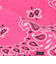 ＜HAV-A-HANK＞BANDANNA バンダナ