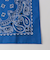 ＜HAV-A-HANK＞BANDANNA バンダナ