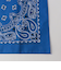 ＜HAV-A-HANK＞BANDANNA バンダナ