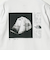 ＜THE NORTH FACE＞Rays of dawn Tシャツ