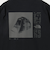 ＜THE NORTH FACE＞Rays of dawn Tシャツ