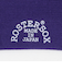 【別注】＜ROSTER SOX＞GLR 1STAR ソックス
