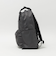 ＜DANTON＞バックパック / リュック〈PEUPLIERS 17〉(17L)