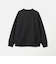 ＜THE NORTH FACE＞スモール ロゴ クルーネック スウェット