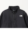 ＜THE NORTH FACE＞デナリ フリースジャケット