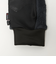 ＜THE NORTH FACE＞デナリ イーチップ グローブ