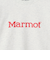 【別注】＜Marmot＞スウェット / トレーナー / キッズ  140cm-160cm