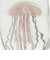 ＜HERE by DETAIL＞ジェリーフィッシュ ツイストレッグ スクエア オブジェ