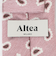 ＜ALTEA＞8.0cm ペイズリー ネクタイ
