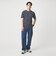 LONG FIBER COTTON ボーダー クルーネック 半袖 Tシャツ