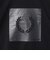 【国内EXCLUSIVE】＜FRED PERRY＞ボックス ロゴ Tシャツ