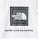 ＜THE NORTH FACE＞ショートスリーブ バンダナ Tシャツ