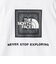 【WEB限定】＜THE NORTH FACE＞ショートスリーブ バンダナ Tシャツ