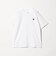 【WEB限定】＜THE NORTH FACE＞ スモールボックス 半袖  ロゴTシャツ
