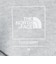 【WEB限定】＜THE NORTH FACE＞ スモールボックス 半袖  ロゴTシャツ