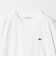 ＜LACOSTE＞ショートスリーブ Tシャツ
