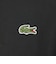 ＜LACOSTE＞ショートスリーブ Tシャツ