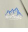 【別注】＜WILD THINGS＞ マウンテン ショートスリーブ Tシャツ / キッズ 140cm-160cm