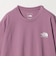 ＜THE NORTH FACE＞ショートスリーブ ヒストリカル ロゴ 半袖 Tシャツ