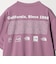 ＜THE NORTH FACE＞ショートスリーブ ヒストリカル ロゴ 半袖 Tシャツ