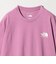 ＜THE NORTH FACE＞ショートスリーブ ヒストリカル ロゴ 半袖 Tシャツ