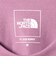 ＜THE NORTH FACE＞ショートスリーブ ヒストリカル ロゴ 半袖 Tシャツ