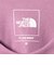 ＜THE NORTH FACE＞ショートスリーブ ヒストリカル ロゴ 半袖 Tシャツ