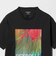 DEYROLLE GLR プリント クルーネック 半袖 Tシャツ