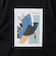 ＜Phospho Graphica＞グラフィック 半袖 Tシャツ カットソー