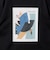 ＜Phospho Graphica＞グラフィック 半袖 Tシャツ カットソー