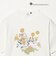【別注】＜URBAMENT＞「ルーニー・テューンズ」半袖 Tシャツ