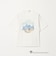 【別注】＜URBAMENT＞「ルーニー・テューンズ」半袖 Tシャツ