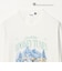 【別注】＜URBAMENT＞「ルーニー・テューンズ」半袖 Tシャツ