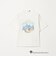 【別注】＜URBAMENT＞「ルーニー・テューンズ」半袖 Tシャツ