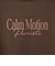 グラフィック Tシャツ