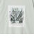 ＜Phospho Graphica＞グラフィック 半袖 Tシャツ カットソー